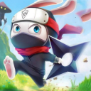 Cover image of Ninja Rabbit