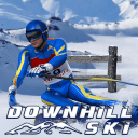 Cover image of Downhill Ski