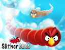 Cover image of Slither Birds